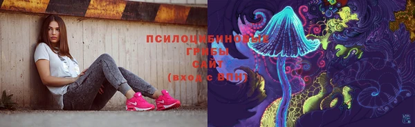 индика Армянск