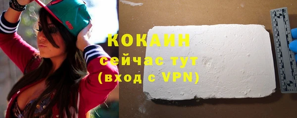индика Армянск