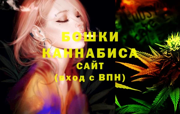 индика Армянск