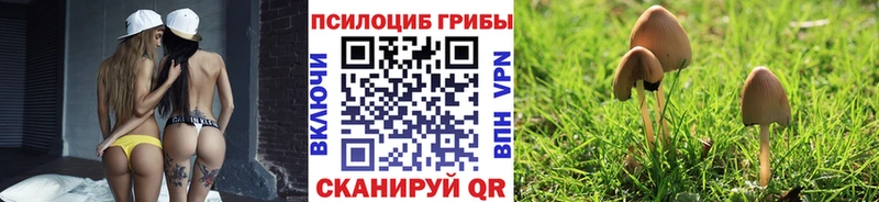 Галлюциногенные грибы MAGIC MUSHROOMS  Йошкар-Ола 